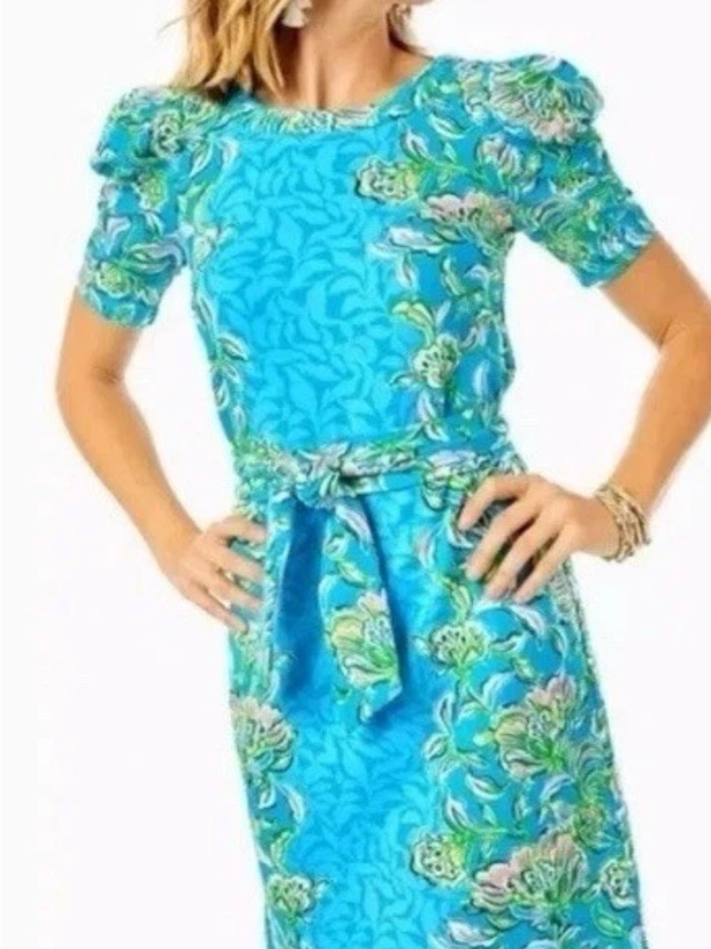 Lilly Pulitzer Harriet Elbow Sleeve Dress Blue Chick Magnet Size Large L Coastal